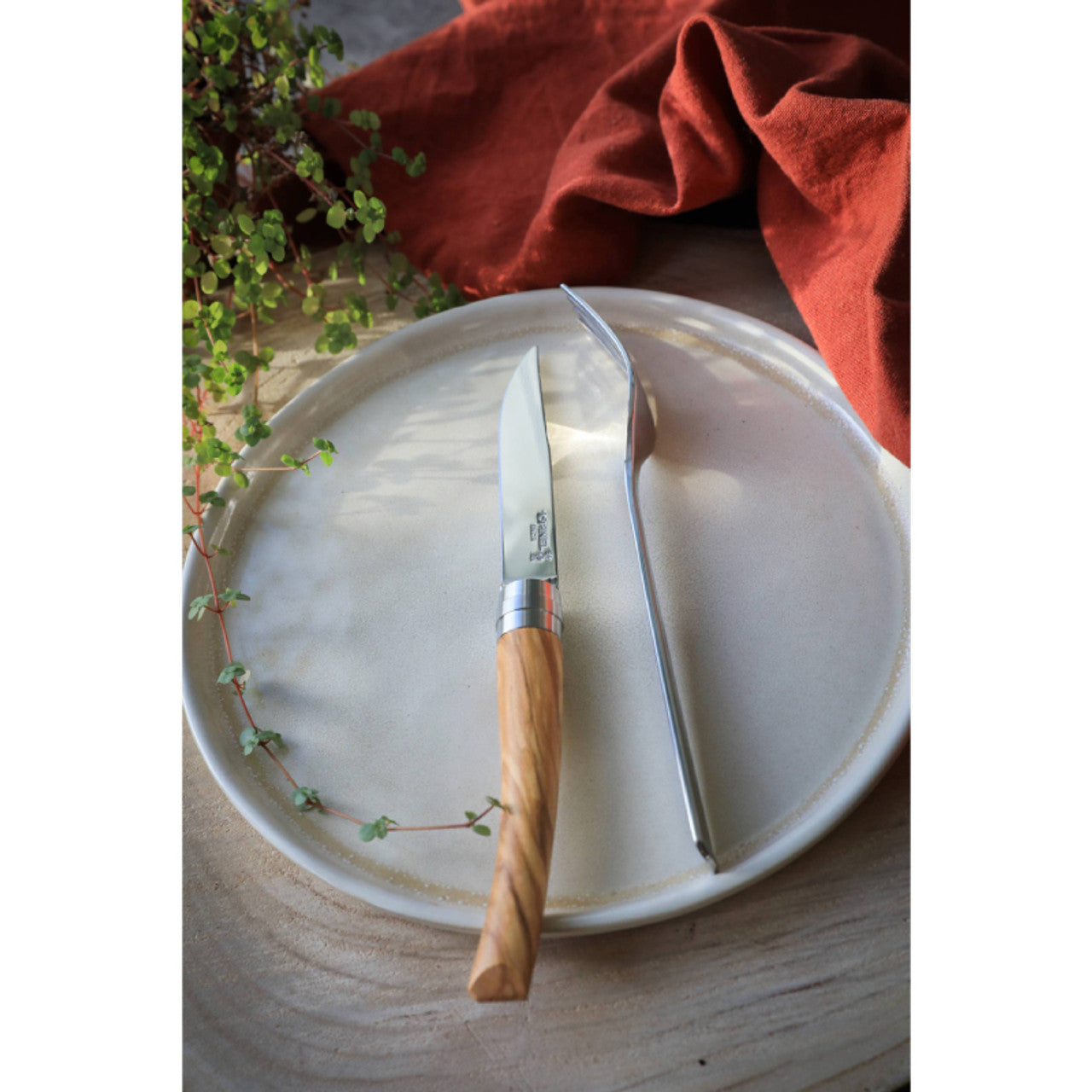 Opinel Table Chic Steakmessenset 4 delig