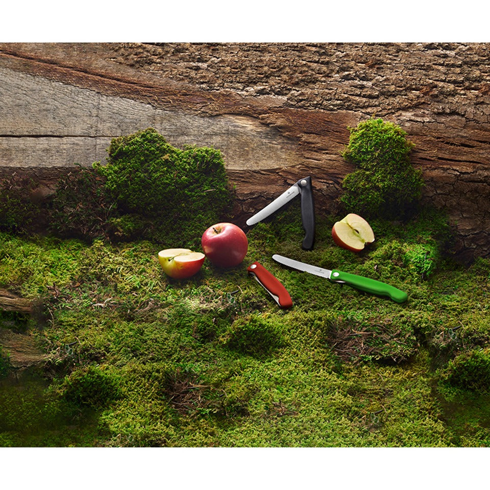 victorinox inklapbare schilmessen glad 11 cm rvs rood zwart en groen kunststof buiten met appels