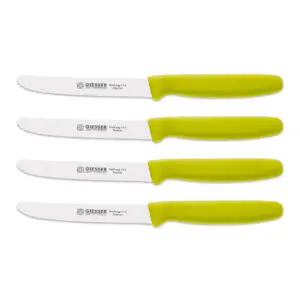 giesser steakmessen limoen groen