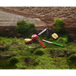 victorinox inklapbare schilmessen glad 11 cm rvs rood zwart en groen kunststof buiten met appels